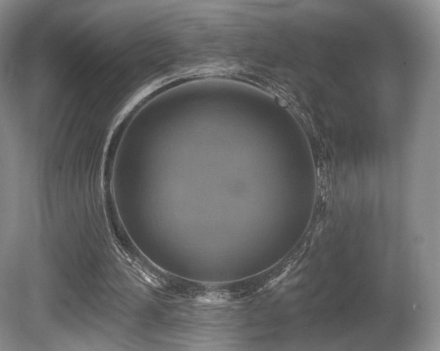 X0000080690196200612151257