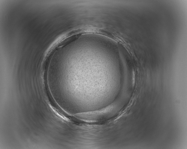 X0000080690197200612151257