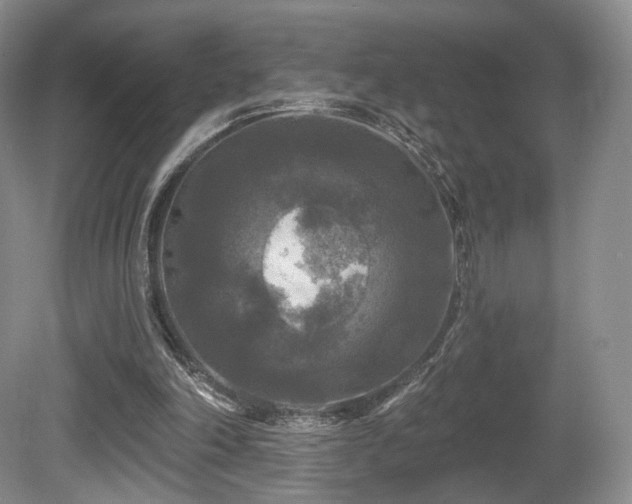 X0000080690198200612151257