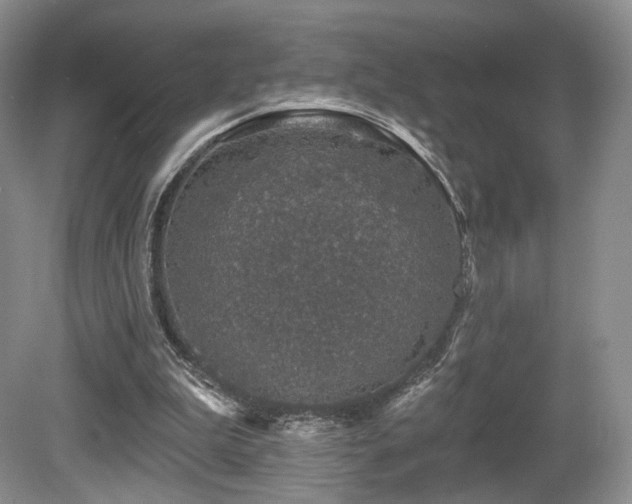 X0000080690199200612151257