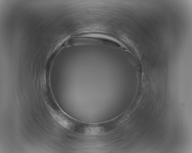 X0000080690202200612151257