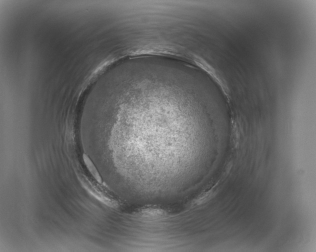 X0000080690203200612151257