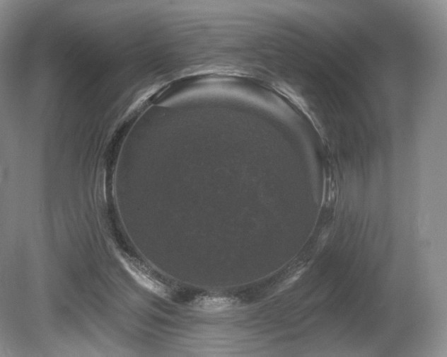 X0000080690205200612151257