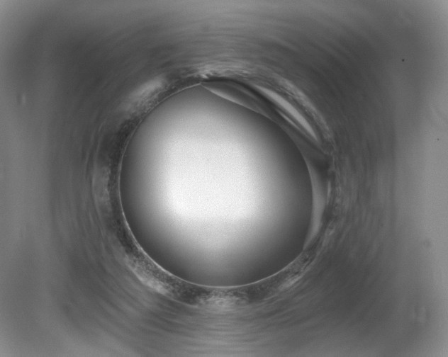 X0000080690209200612151257