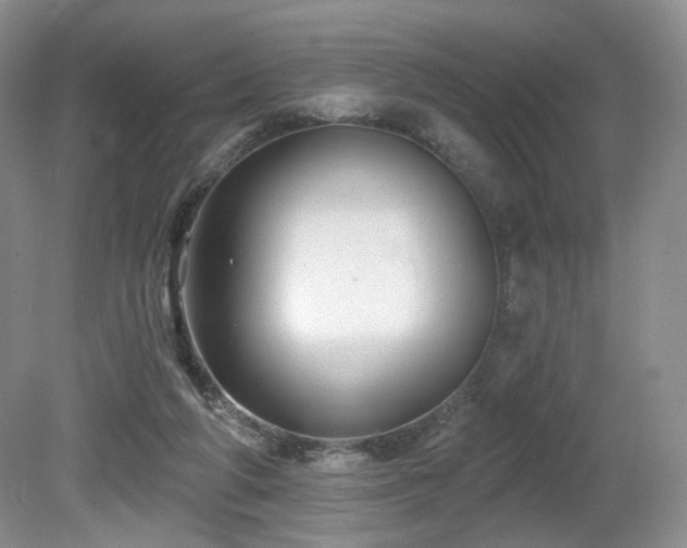X0000080690210200612151257