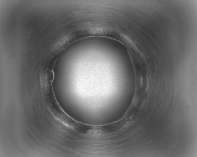 X0000080690211200612151257
