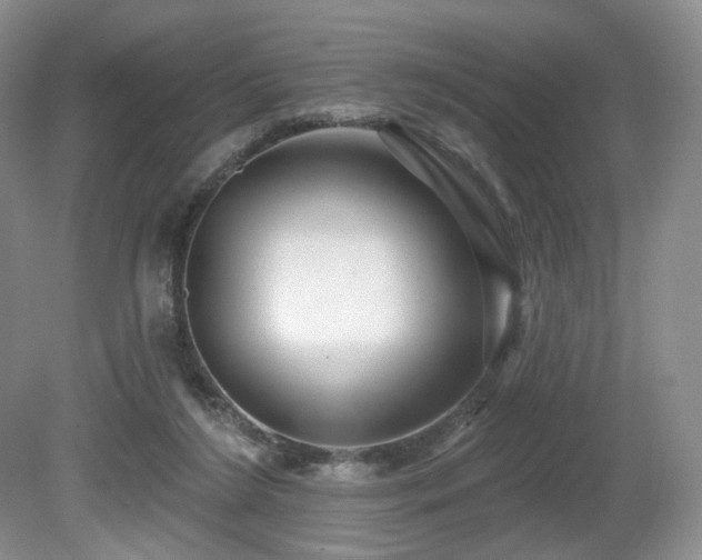 X0000080690212200612151257