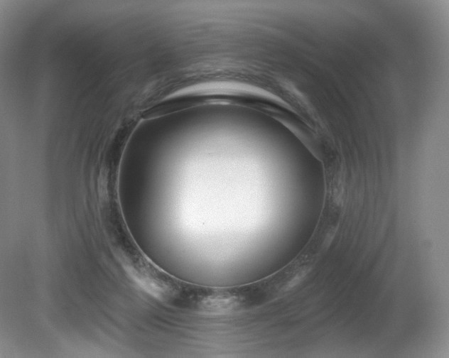X0000080690213200612151257