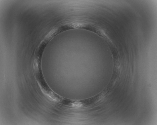 X0000080690214200612151257
