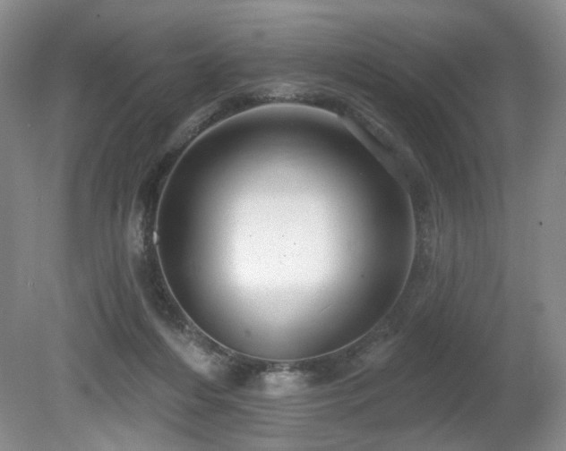 X0000080690216200612151257
