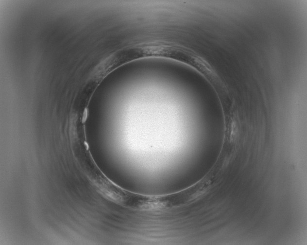 X0000080690217200612151257