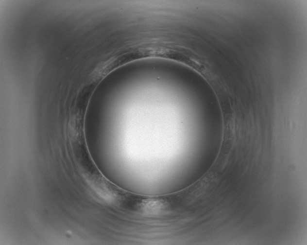X0000080690218200612151257