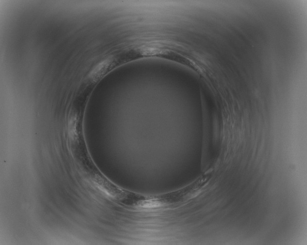 X0000080690219200612151257