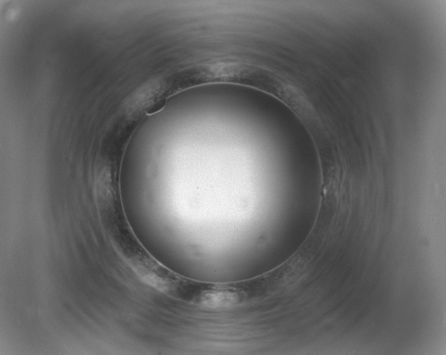 X0000080690220200612151257