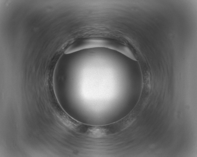 X0000080690221200612151257