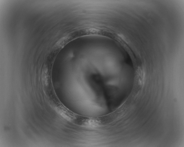 X0000080690223200612151257