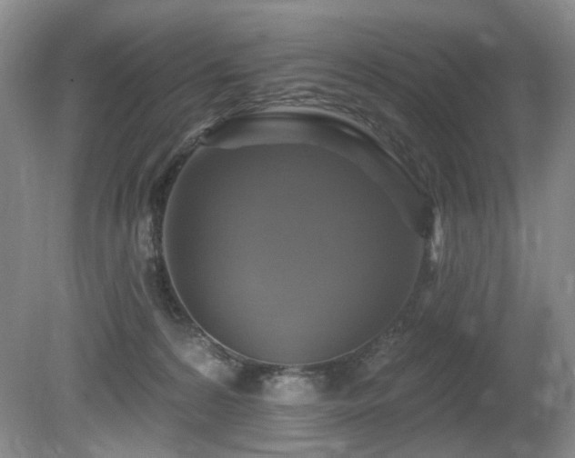 X0000080690224200612151257
