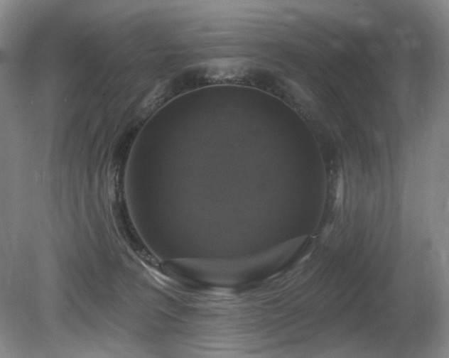 X0000080690227200612151257