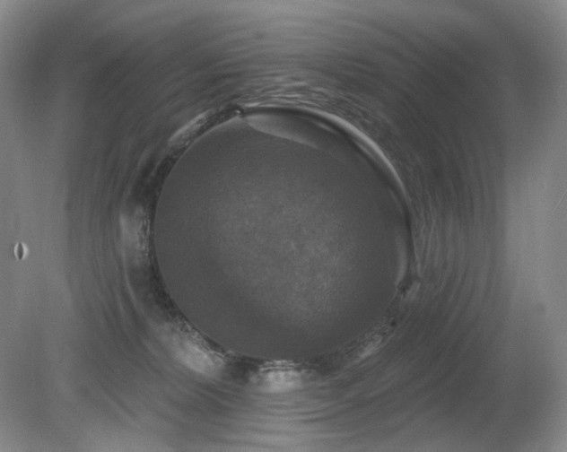 X0000080690228200612151257
