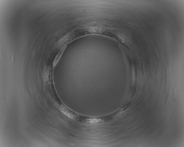 X0000080690233200612151257