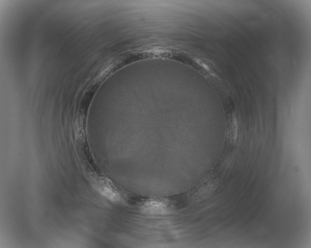 X0000080690236200612151257