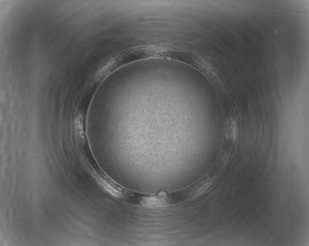 X0000080690238200612151257