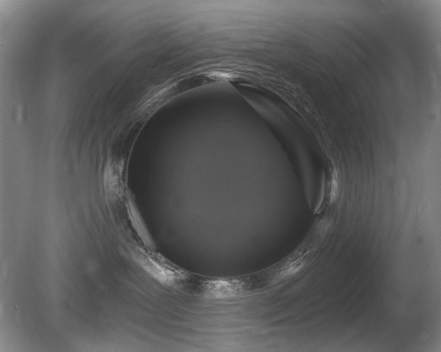 X0000080690239200612151257