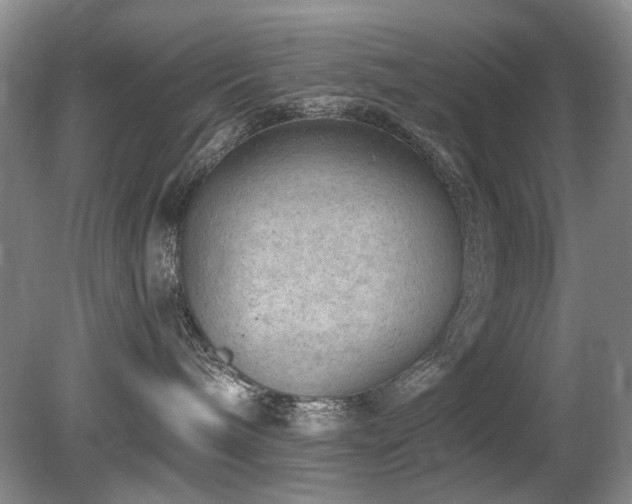 X0000080690240200612151257