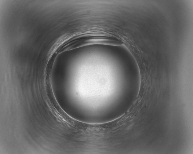 X0000080690242200612151256