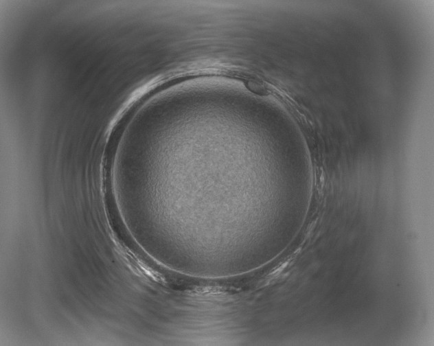 X0000080690244200612151256