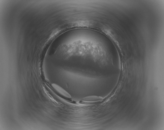 X0000080690249200612151256