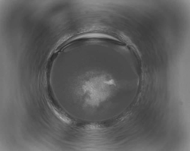 X0000080690250200612151256