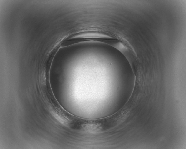 X0000080690251200612151256