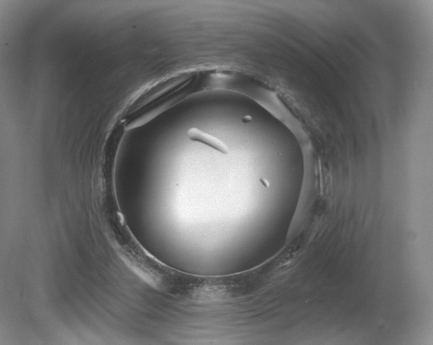 X0000080690252200612151256