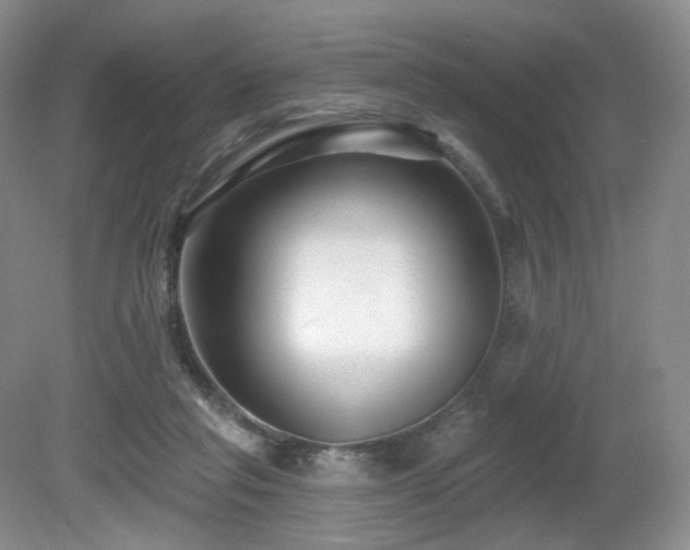 X0000080690261200612151256