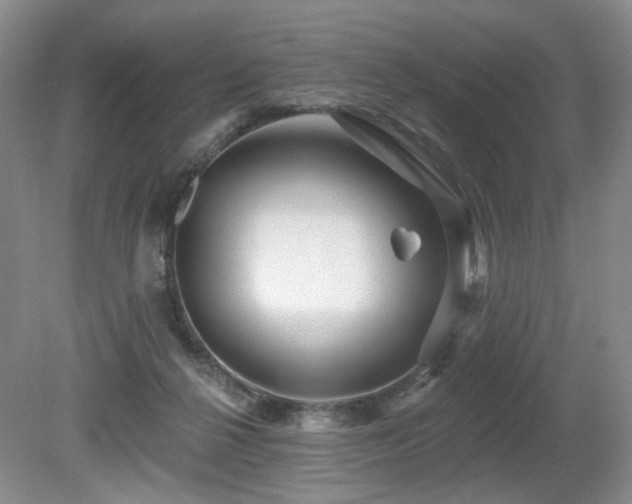 X0000080690264200612151256