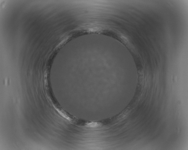 X0000080690269200612151256