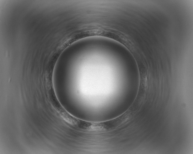 X0000080690270200612151256
