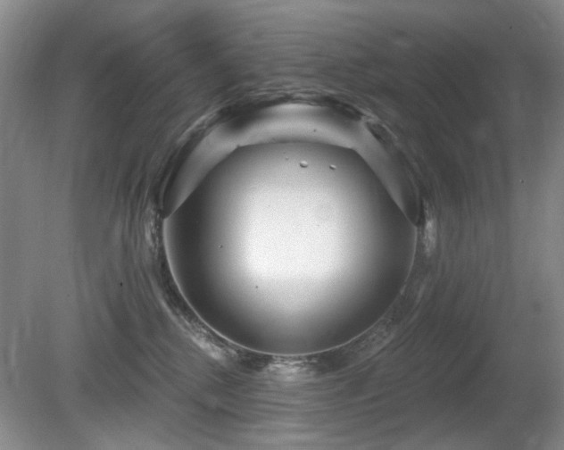 X0000080690280200612151257