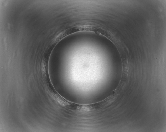 X0000080690282200612151257