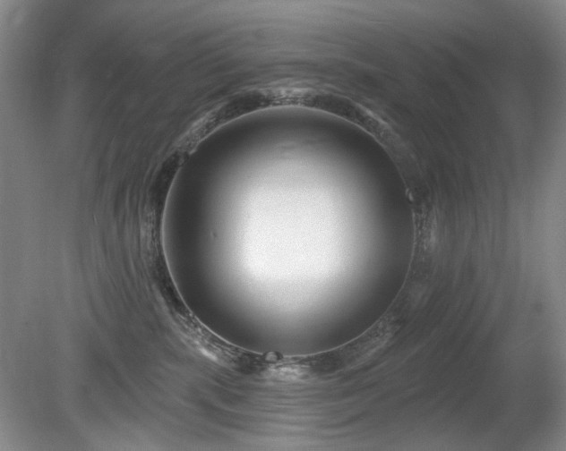 X0000080690283200612151257