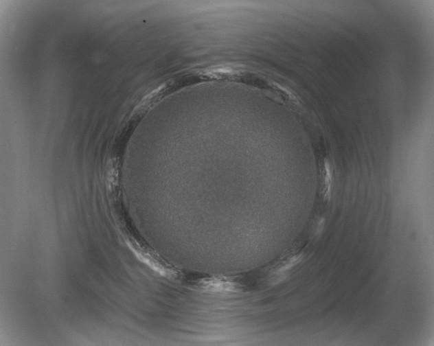 X0000080690284200612151257