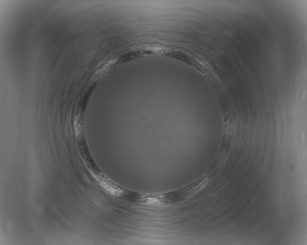 X0000080690285200612151257