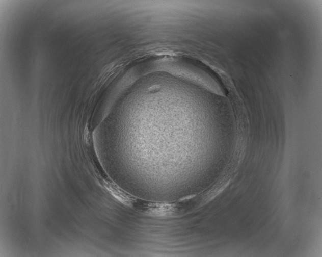 X0000080690288200612151257