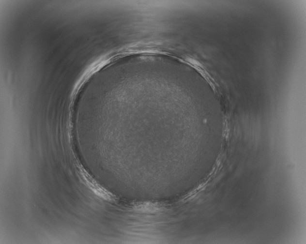 X0000080690293200612151256