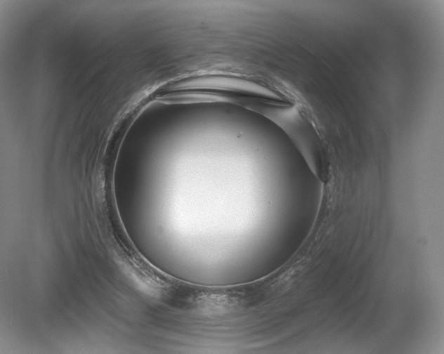 X0000080690298200612151256