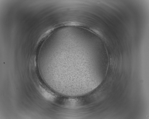 X0000080690302200612151256