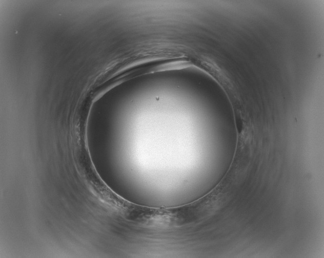 X0000080690306200612151256