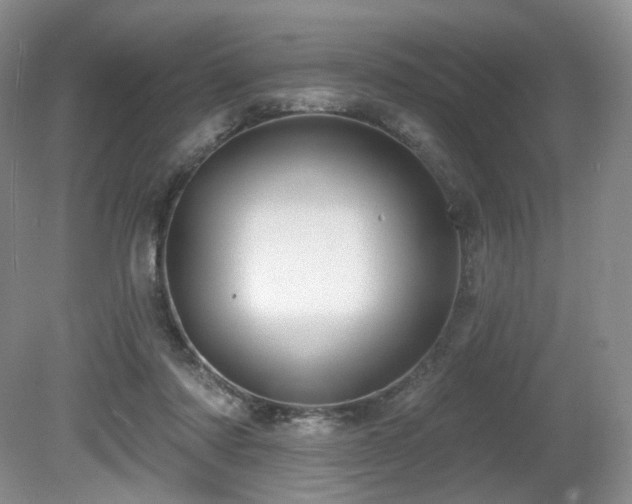 X0000080690310200612151255