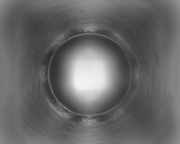 X0000080690311200612151255